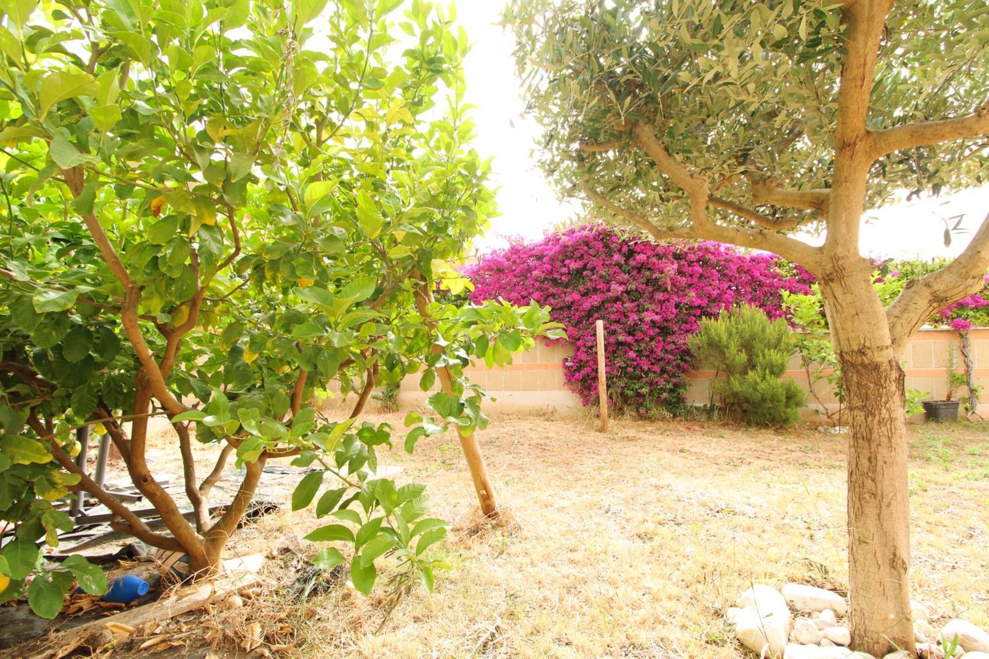 Appartamento Garden Roma